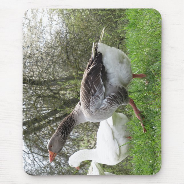 Tapis De Souris Gänse auf einer Wiese (Devant)