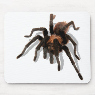 Tapis De Souris Gardien Tarantula