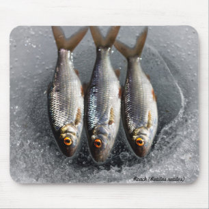 Tapis De Souris Gardon