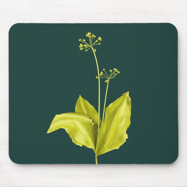 Tapis De Souris Garlic sauvage vert Plante Nature Adulte Botaniste (Devant)