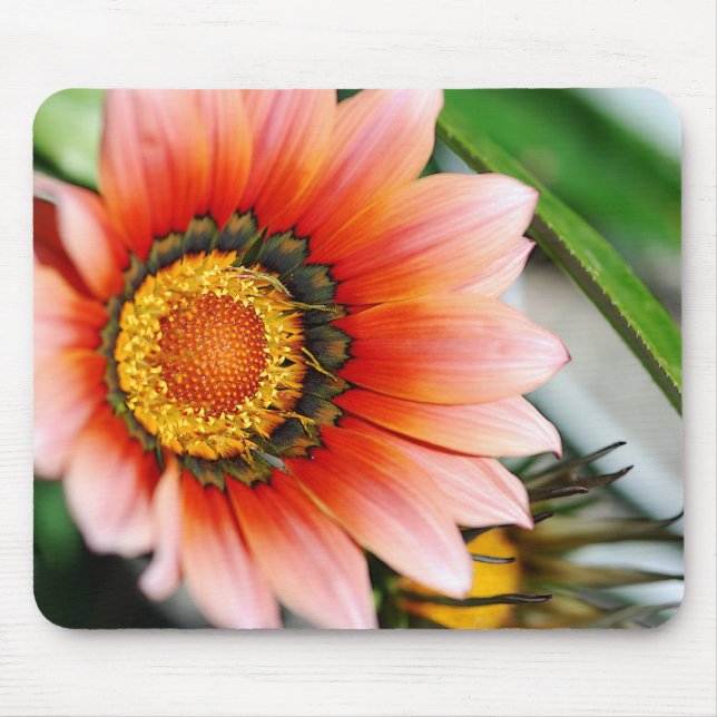 Tapis De Souris Gazania rouge (Devant)