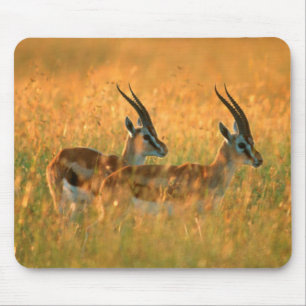 Tapis De Souris Gazelle de Thomson