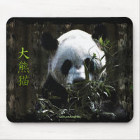 Géant Panda ours mignon avec des feuilles de bambo