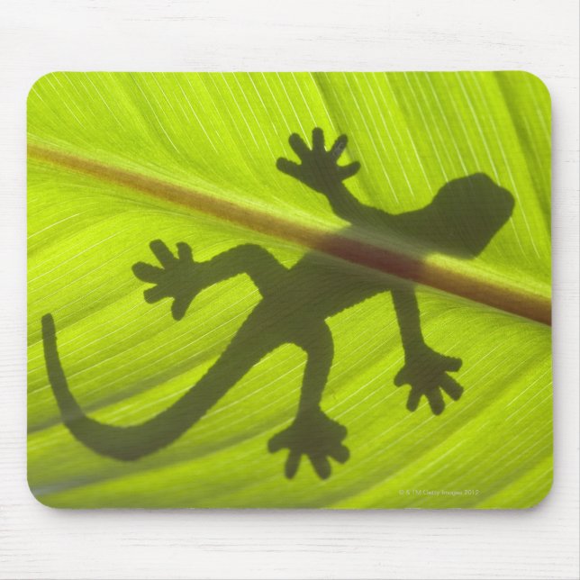 Tapis De Souris Gecko (Devant)