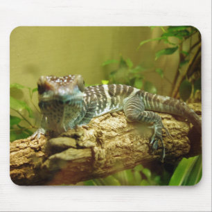 Tapis De Souris Gecko Mousepad