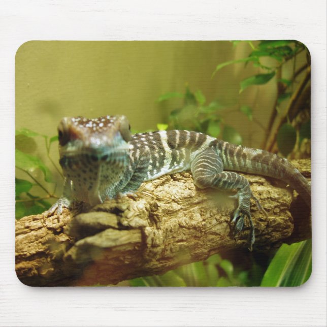 Tapis De Souris Gecko Mousepad (Devant)