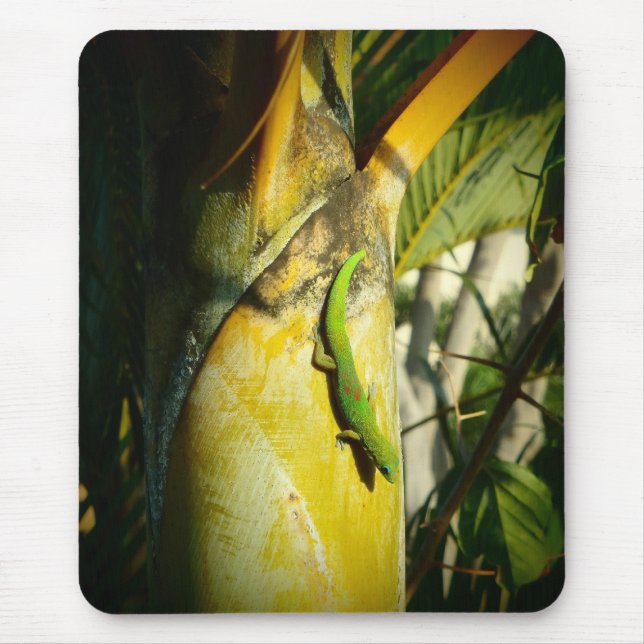 Tapis De Souris Gecko tropical mousepad (Devant)