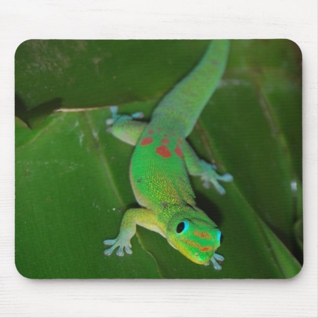 Tapis De Souris Gecko vert en Hawaï (Devant)