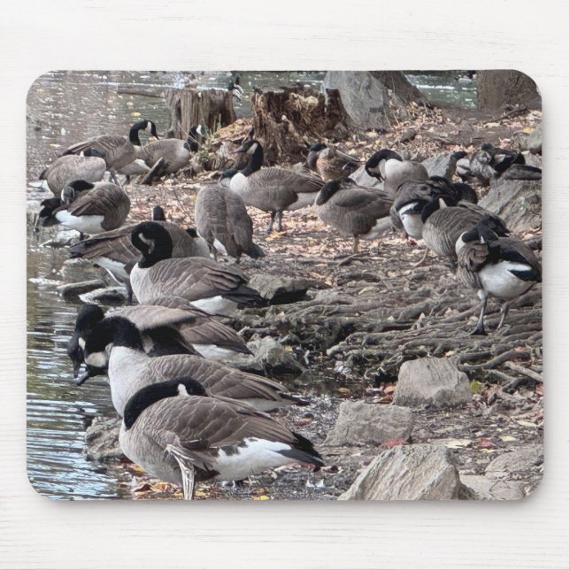 Tapis De Souris Geese in the Park Mouse Pad (Devant)
