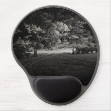 Forêt enneigée la nuit
