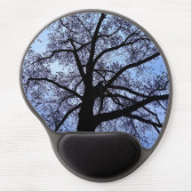 La beauté de la nature