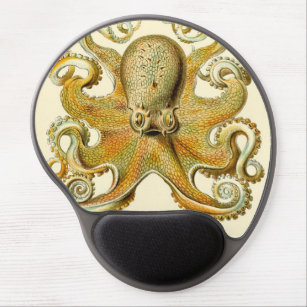 Tapis De Souris Gel Vintage Kraken, Octopus Gamochonia, Ernst Haeckel