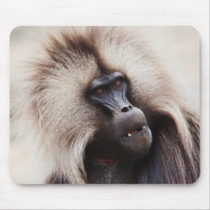 Tapis De Souris Gelada Baboon, Éthiopie