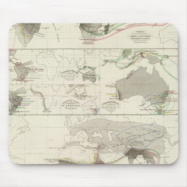 Tapis De Souris Géographie zoologique (Devant)