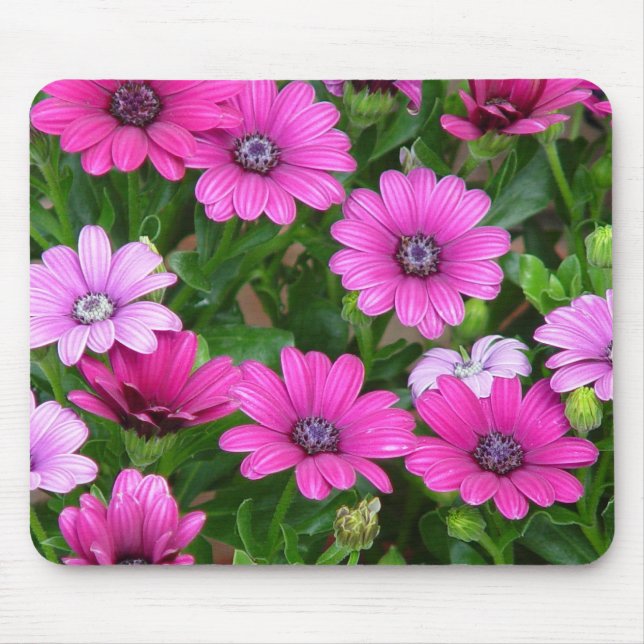 Tapis De Souris Géranium de Cranesbill (fleurs roses) Mousepad (Devant)