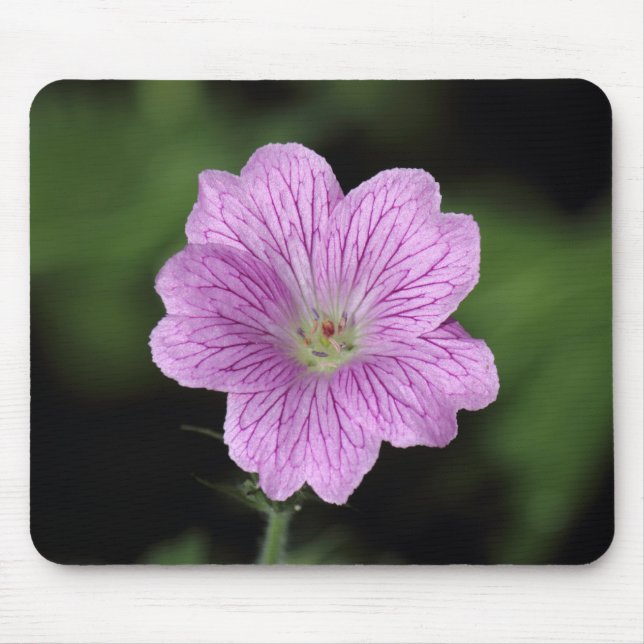 Tapis De Souris Geranium Endressii (Devant)