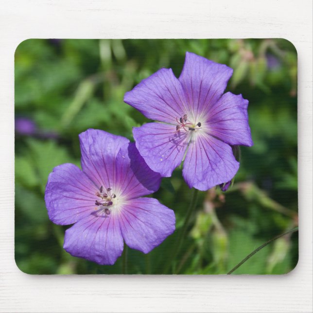 Tapis De Souris Geranium pratense (Devant)
