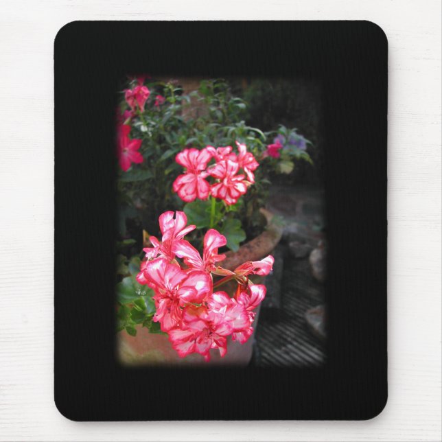 Tapis De Souris Géraniums. Fleurs de pélargonium (Devant)