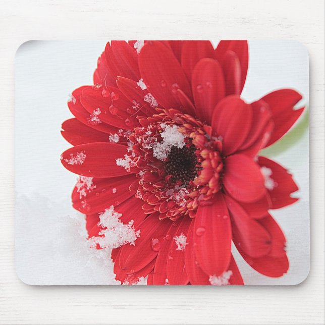 Tapis De Souris Gerbera (Devant)