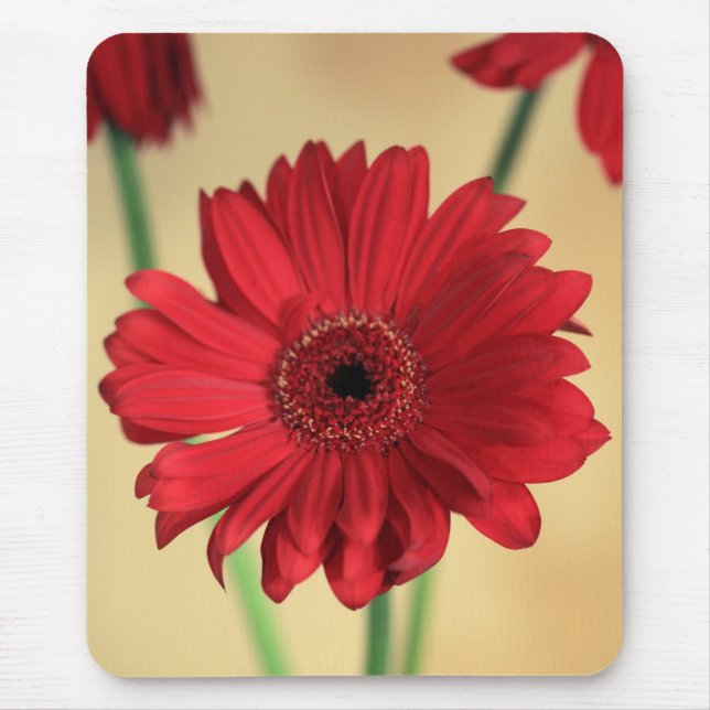 Tapis De Souris Gerbera (Devant)