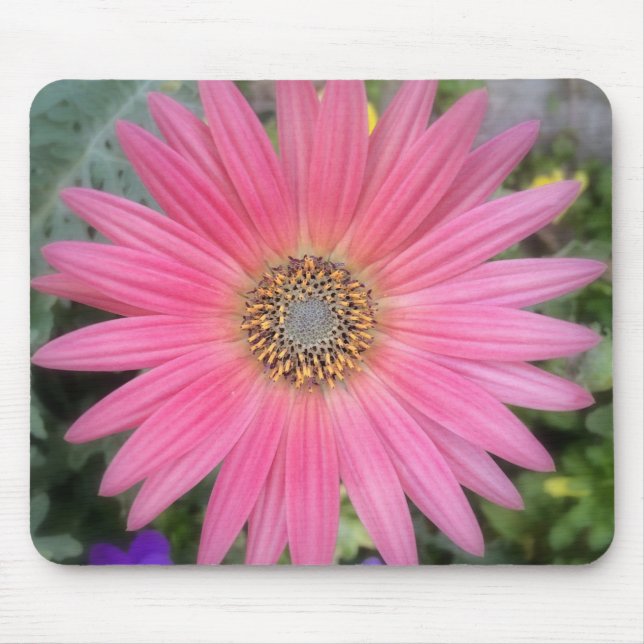Tapis De Souris Gerbera rose Fleurs de marguerite Mousepad (Devant)