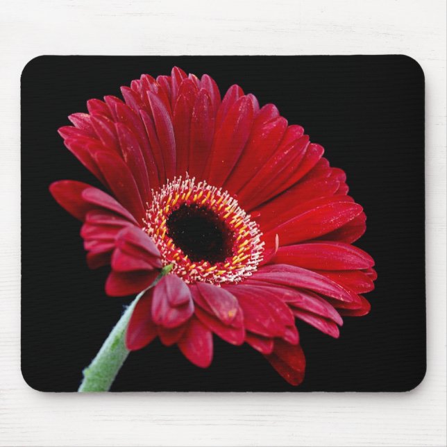 Tapis De Souris Gerbera rouge Mousepad (Devant)