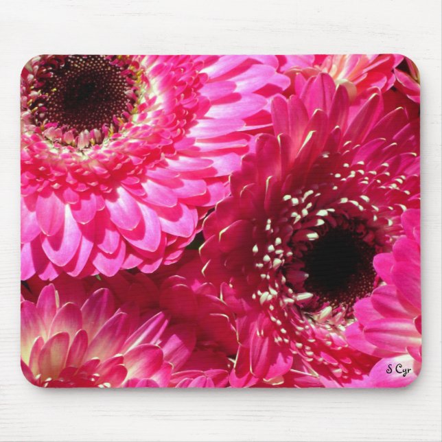 Tapis De Souris Gerberas roses (Devant)