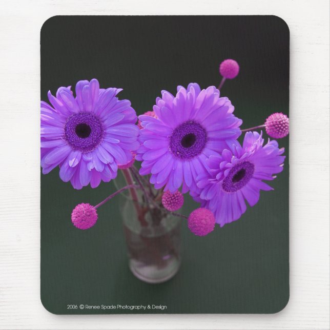 Tapis De Souris Gerbers pourpre (Devant)