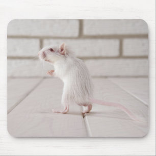 Tapis De Souris Gerbil debout