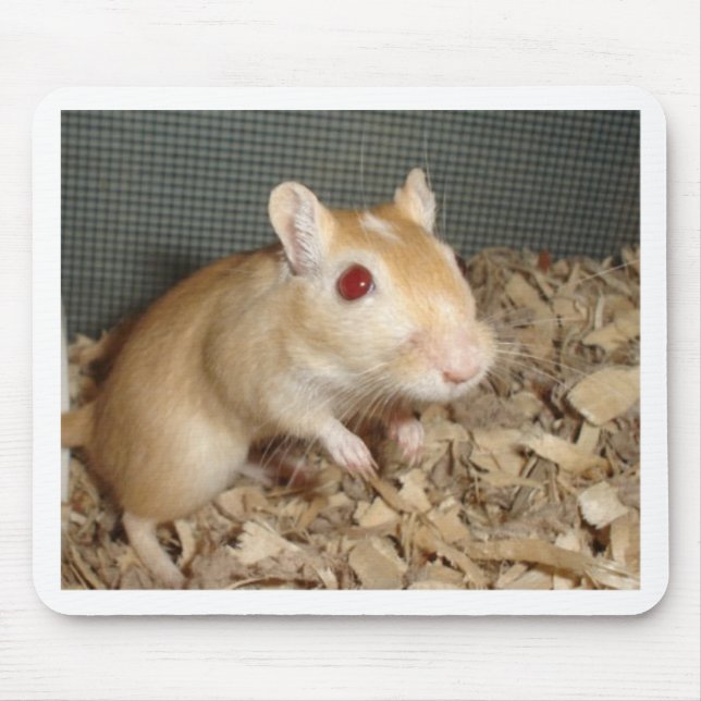 Tapis De Souris Gerbille mignonne (Devant)