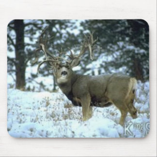 Tapis De Souris GetAttachment