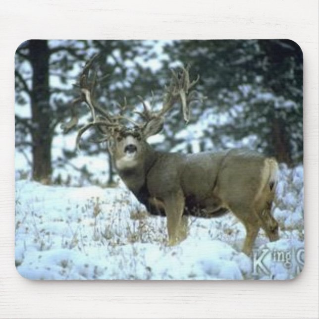 Tapis De Souris GetAttachment (Devant)