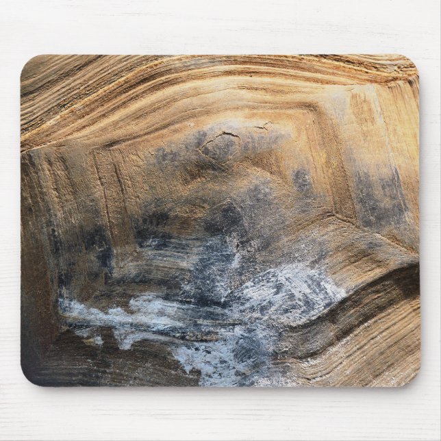 TAPIS DE SOURIS GIANT TORTOISE SHELL (Devant)