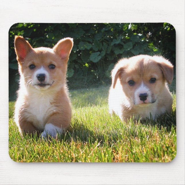 Tapis De Souris Gift Amoureux des chiens Pembroke Welsh Corgi (Devant)