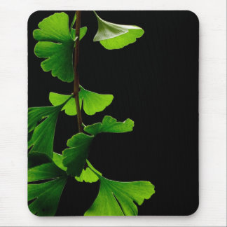 Tapis De Souris Ginkgo_Biloba_Leaves_-_Black_Background