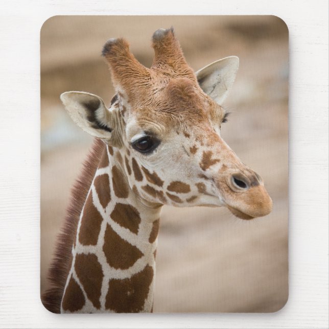 Tapis De Souris girafe (Devant)