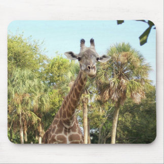 Tapis De Souris Girafe
