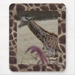 Tapis De Souris Girafe au repos