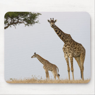 Tapis De Souris Girafe Calf et Mama