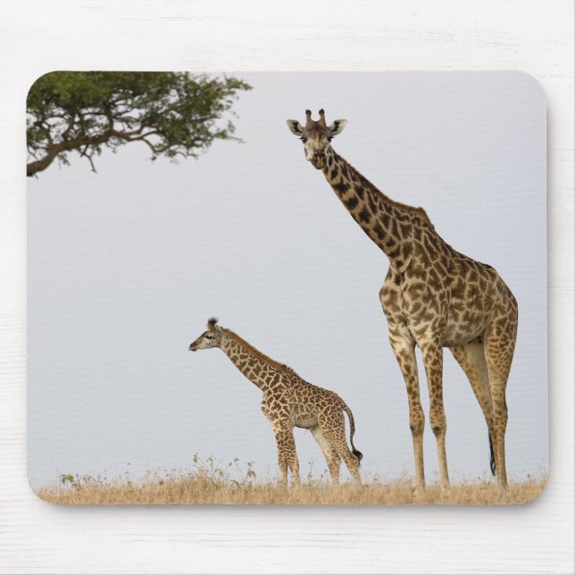 Tapis De Souris Girafe Calf et Mama (Devant)
