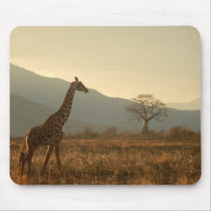 Tapis De Souris Girafe dans la savane