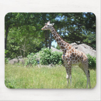 Tapis De Souris Girafe dans le sauvage