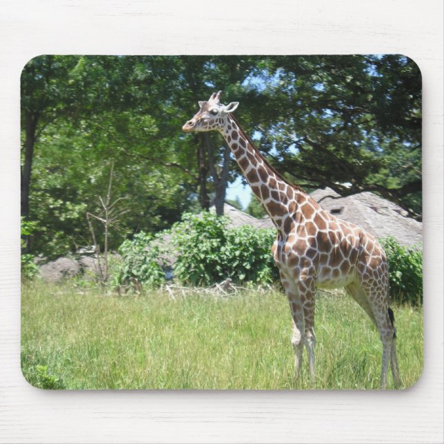 Tapis De Souris Girafe dans le sauvage (Devant)