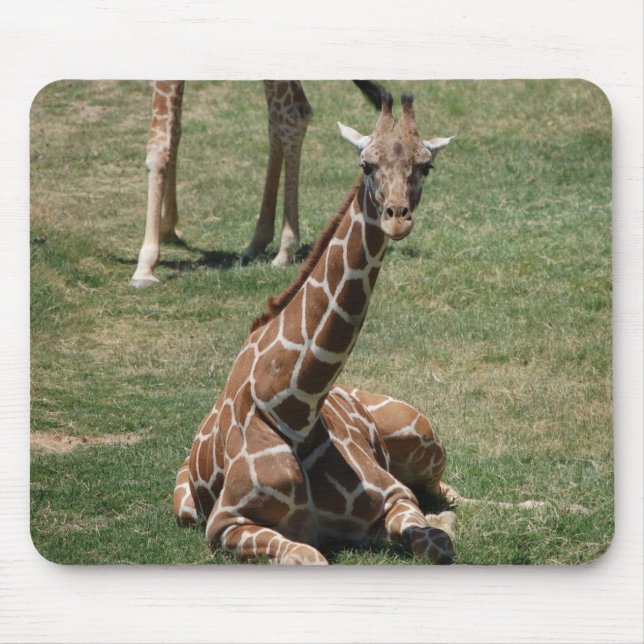 Tapis De Souris Girafe de bébé (Devant)