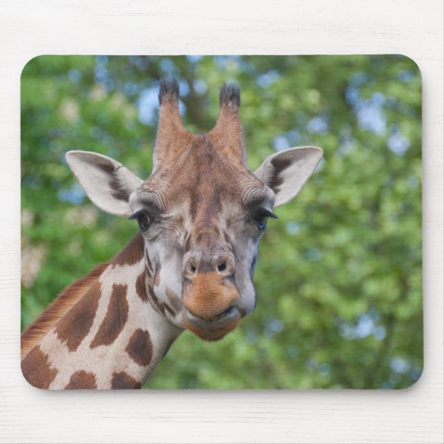 Tapis De Souris Girafe de Curios (Devant)