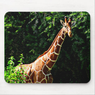 Tapis De Souris Girafe de Samburu