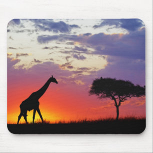 Tapis De Souris Girafe en silhouette au lever du soleil, Giraffa