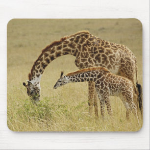 Tapis De Souris Girafe Masai mère et bébé, Giraffa