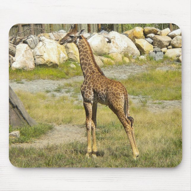 Tapis De Souris Girafe nouveau-né (Devant)