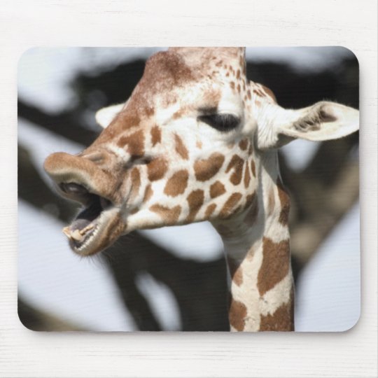 Tapis De Souris Girafe Reticulee Faite Face Drole San Francisco Zazzle Fr